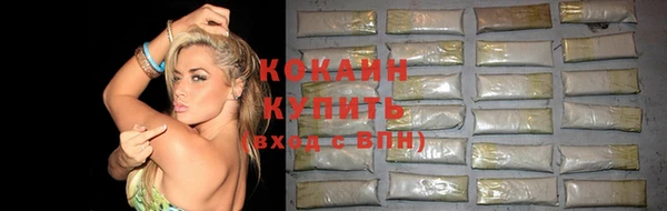 гашик Снежногорск