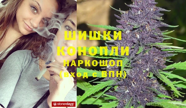 спиды Зерноград