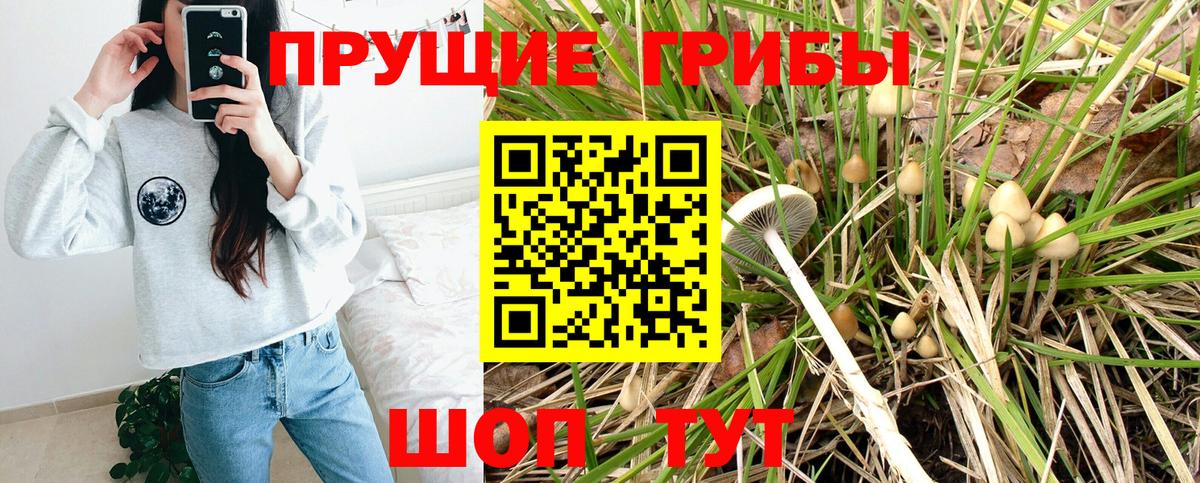 Галлюциногенные грибы мухоморы  Сибай 